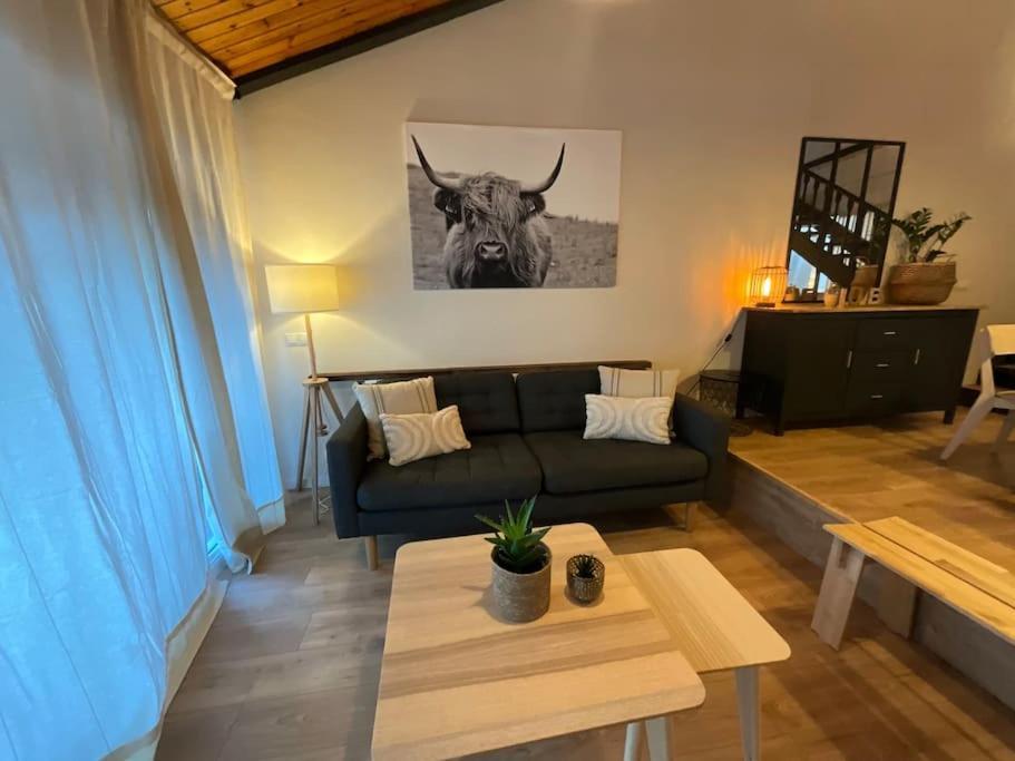 Escapada Daire Puigcerdà Dış mekan fotoğraf